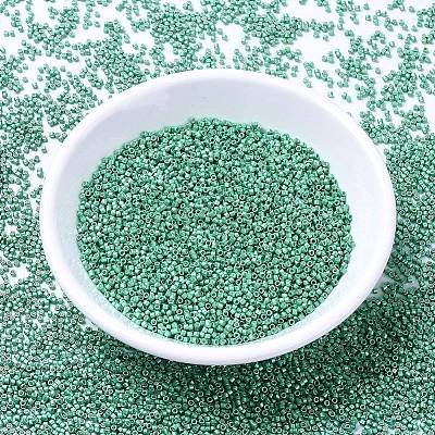MIYUKI Delica Beads SEED-X0054-DB1182-1