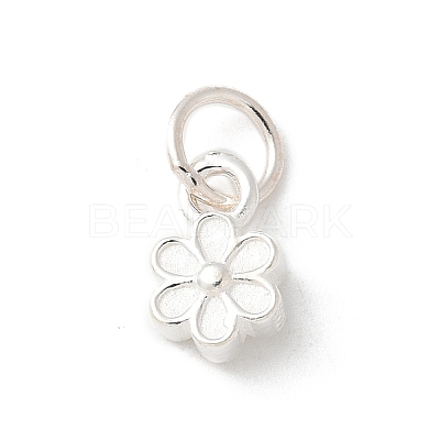 S925 Sterling Silver Pendant STER-H115-08E-S-1