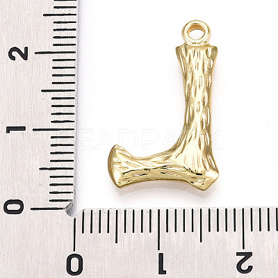 304 Stainless Steel Pendants STAS-N117-01G-L-1