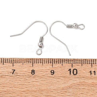 Tarnish Resistant 316 Surgical Stainless Steel Earring Hooks X-STAS-E009-1-1