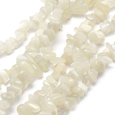 Natural White Moonstone Beads Strands G-P332-01-1