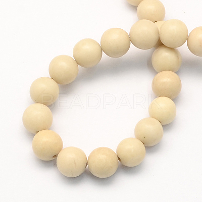 Natural Fossil Round Beads Strands X-G-S171-6mm-1