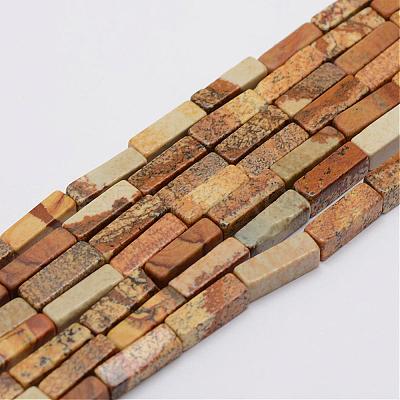 Natural Picture Jasper Beads Strands G-E342-04-1