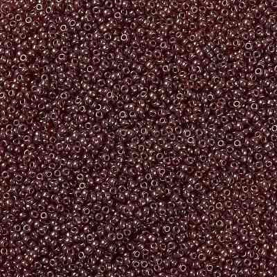 MIYUKI Round Rocailles Beads SEED-JP0009-RR0309-1