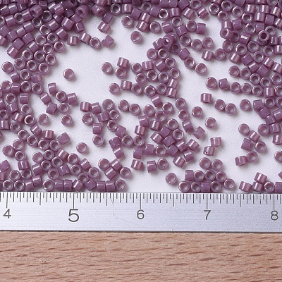 MIYUKI Delica Beads Small X-SEED-J020-DBS0265-1