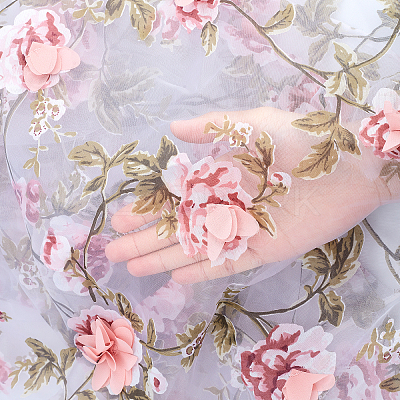 Chiffon Lace Trim ORIB-WH0005-07-1