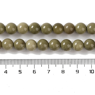 Natural Alashan Agate Beads Strands G-P530-B05-03-1