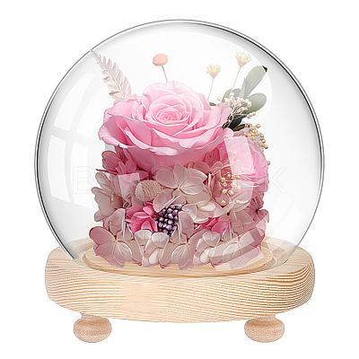 1Pc Glass Dome Cover DJEW-PH0001-40-1
