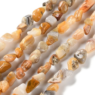 Natural Crazy Agate Beads Strands G-P497-01C-08-1