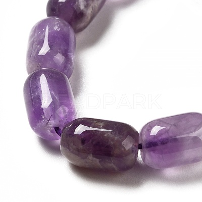 Natural Amethyst Beads Strands G-G980-20-1
