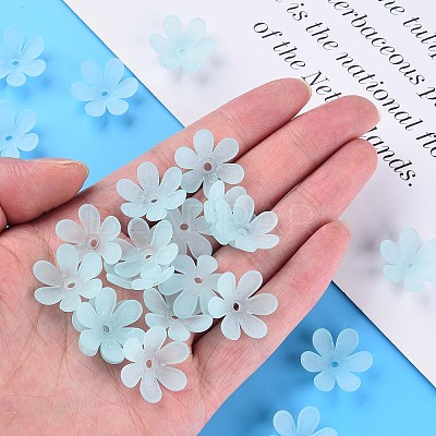 Transparent Acrylic Beads X1-MACR-S373-107-D04-1