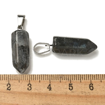Natural Labradorite Pendants G-Z067-07P-24-1