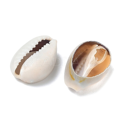 Natural Cowrie Shell Beads LS-X-BSHE-O007-73-1