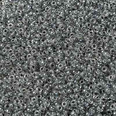 MIYUKI Round Rocailles Beads X-SEED-G008-RR0240-1