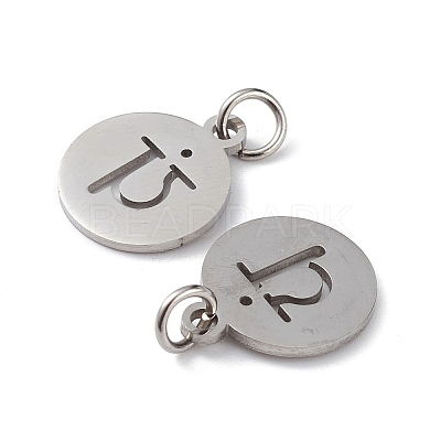 Non-Tarnish 304 Stainless Steel Charms LS-STAS-Q201-T452P-1