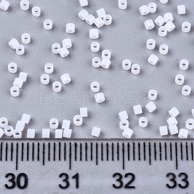 FGB 11/0 Grade A Glass Seed Beads X-SEED-S030-1141-1