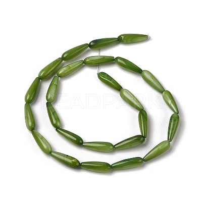 Natural Freshwater Shell Beads Strands SHEL-A004-03B-1