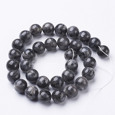 Natural Larvikite Beads Strands GSR12mmC128-1