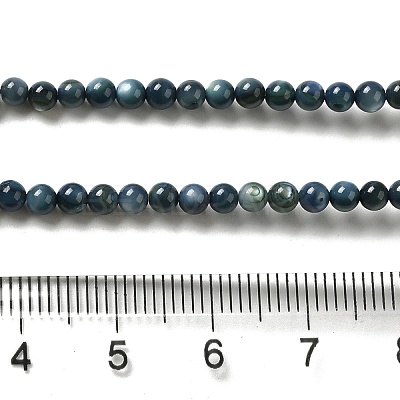 Natural Freshwater Shell Beads Strands SHEL-H003-03C-1