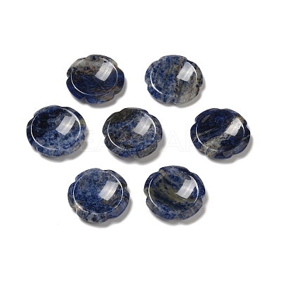 Natural Sodalite Worry Stones G-E586-01O-1
