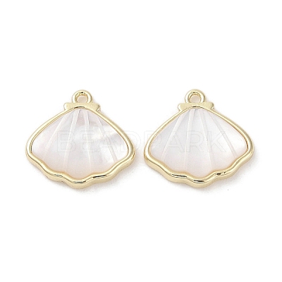 Brass Pave Shell Charms X-KK-G491-41G-1