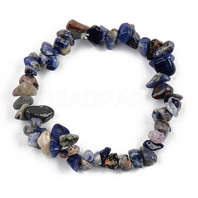 Unisex Chip Natural Sodalite Beaded Stretch Bracelets BJEW-S143-21-1