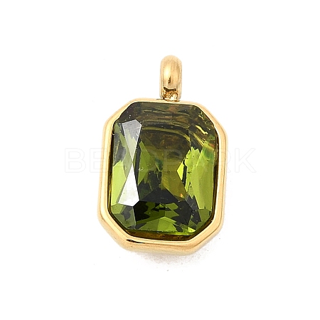 304 Stainless Steel with Rhinestone Pendants STAS-Z179-37G-02-1
