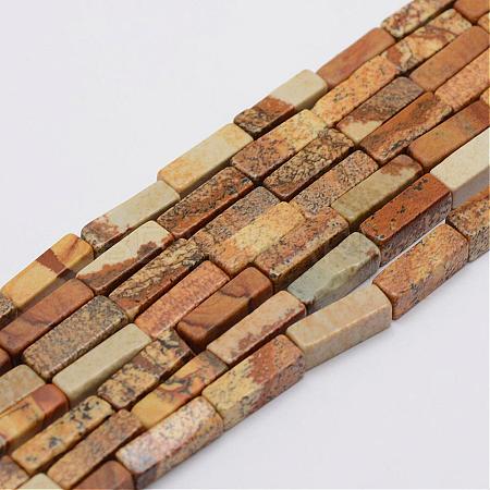 Natural Picture Jasper Beads Strands G-E342-04-1
