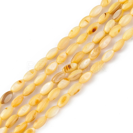Natural Freshwater Shell Dyed Beads Strands SHEL-M018-13-09-1